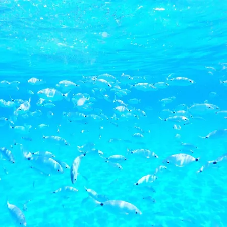 بيت للعطل Mi Casa Bestvacationever