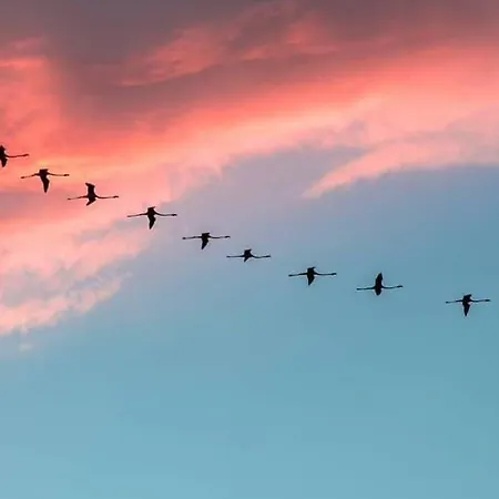 Casa vacanze Mi Casa Bestvacationever Quartu SantʼElena