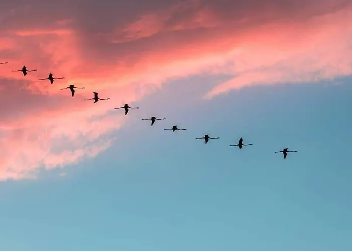 Сasa de vacaciones Mi Casa Bestvacationever Quartu SantʼElena