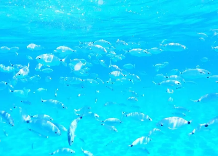 Сasa de vacaciones Mi Casa Bestvacationever